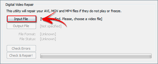 dvr-input-print